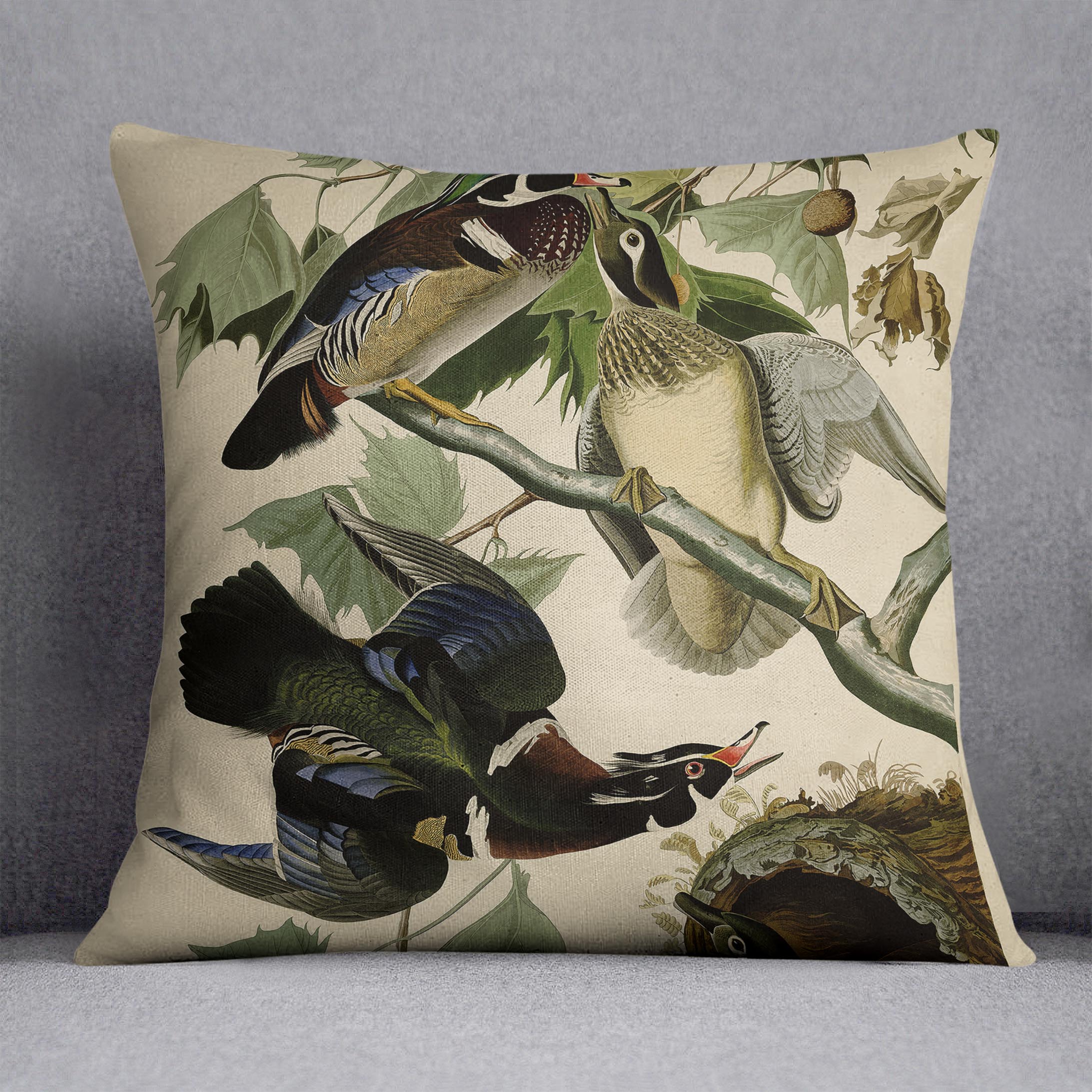 Summer Duck by Audubon Cushion