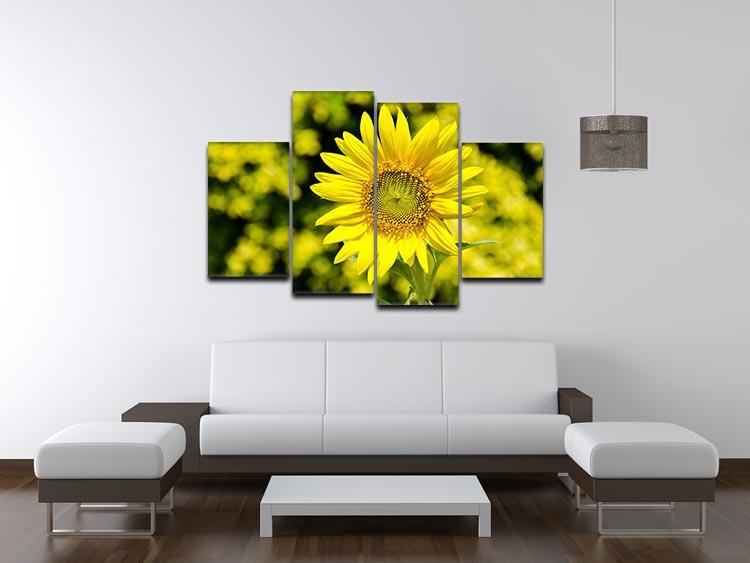 Sunflowers bloom in summer 4 Split Panel Canvas  - Canvas Art Rocks - 3