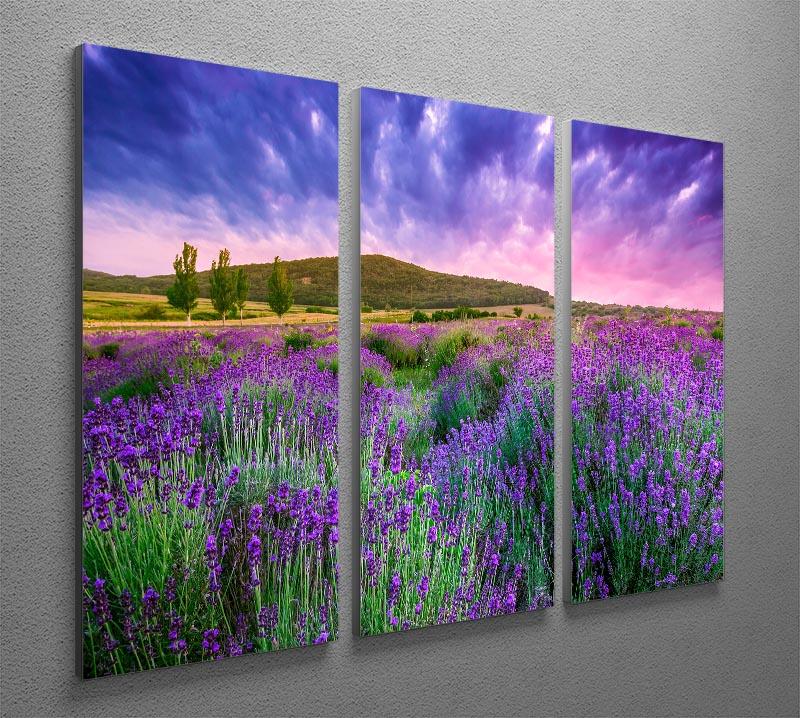 Sunset over a summer lavender field 3 Split Panel Canvas Print - Canvas Art Rocks - 2