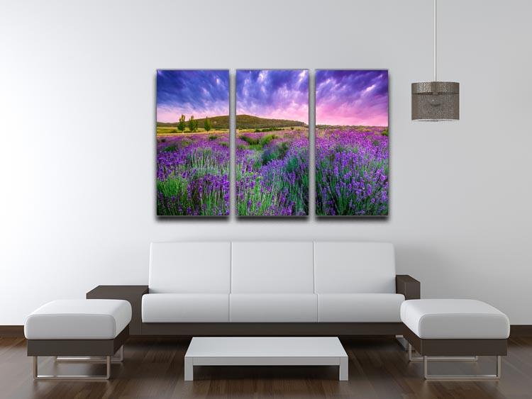 Sunset over a summer lavender field 3 Split Panel Canvas Print - Canvas Art Rocks - 3