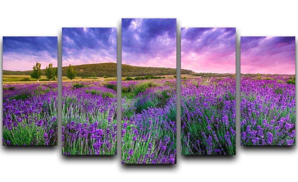 Sunset over a summer lavender field 5 Split Panel Canvas  - Canvas Art Rocks - 1
