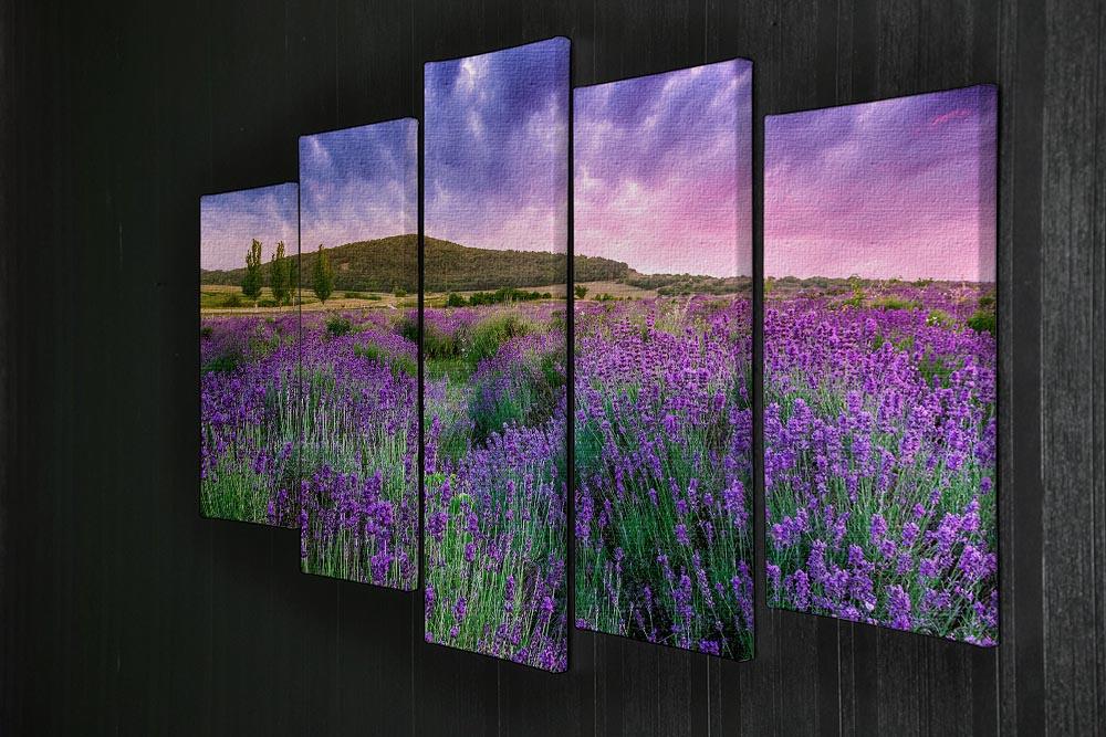 Sunset over a summer lavender field 5 Split Panel Canvas  - Canvas Art Rocks - 2