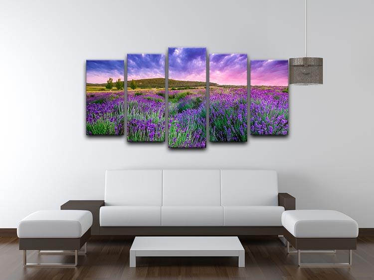 Sunset over a summer lavender field 5 Split Panel Canvas  - Canvas Art Rocks - 3
