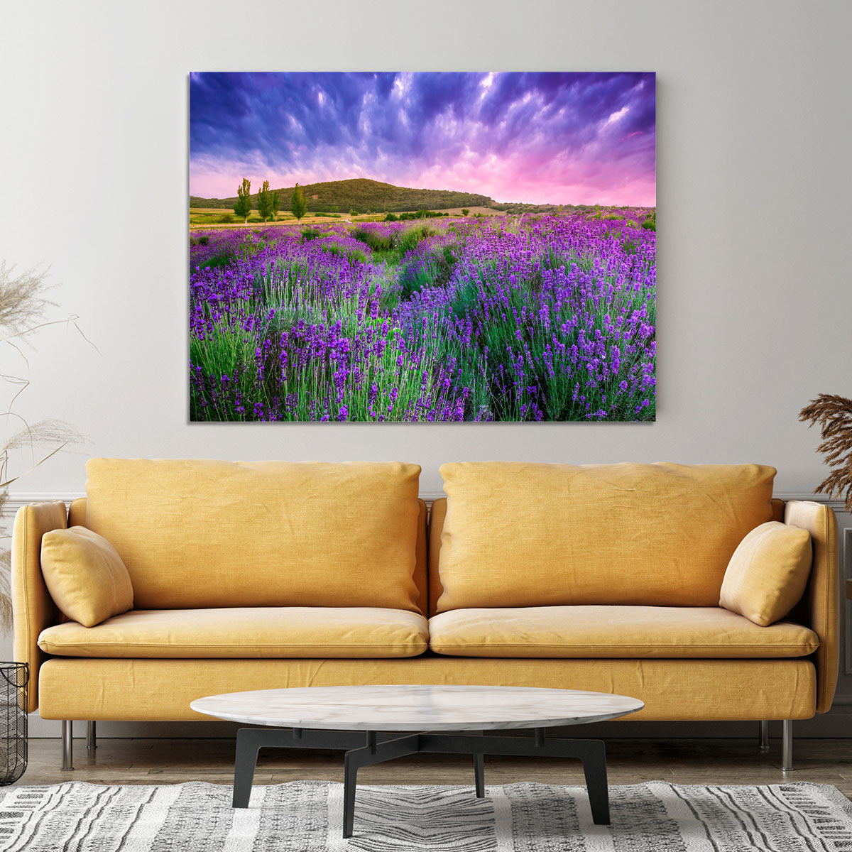 Sunset over a summer lavender field Canvas Print or Poster - Canvas Art Rocks - 4