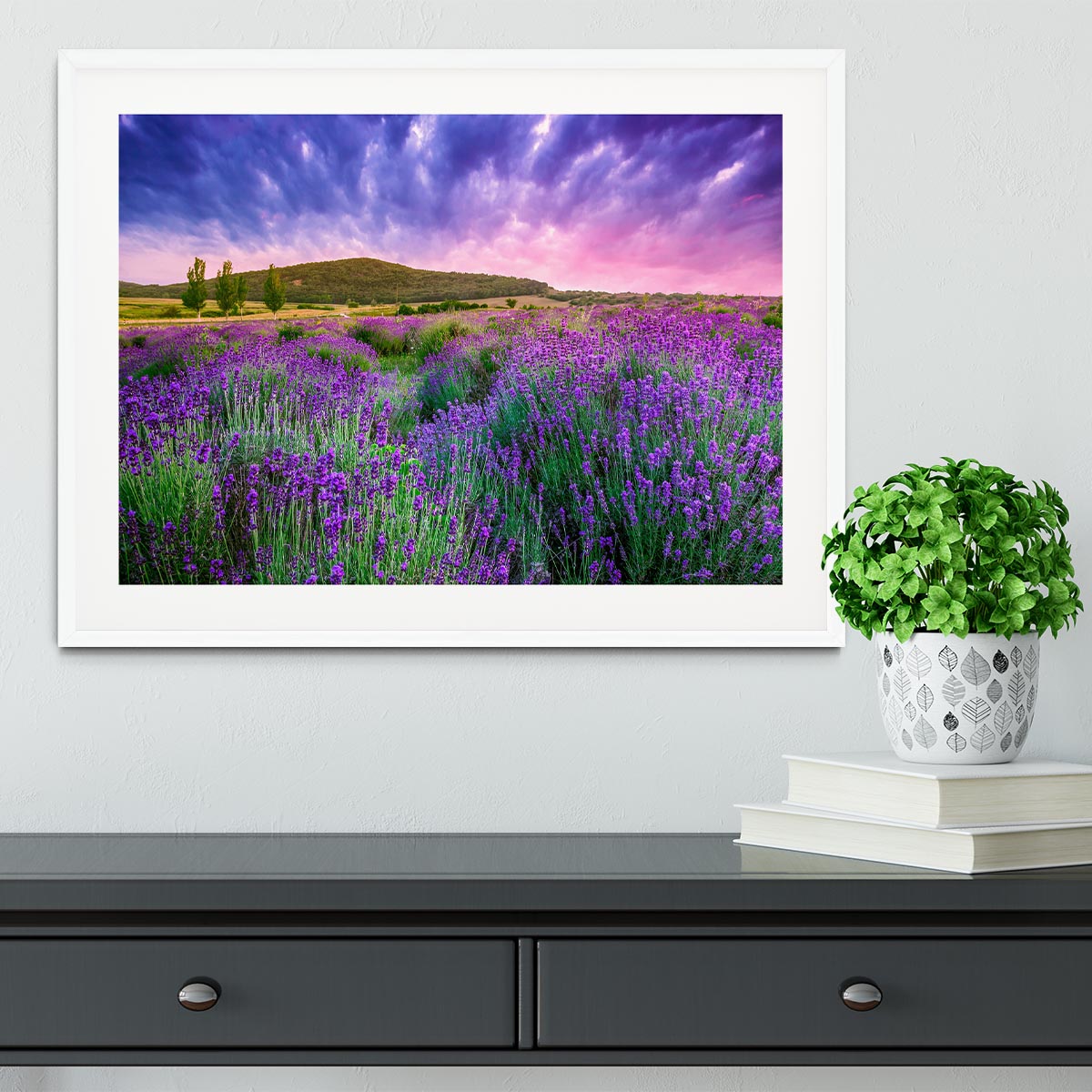 Sunset over a summer lavender field Framed Print - Canvas Art Rocks - 5