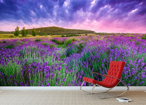 Sunset over a summer lavender field Wall Mural Wallpaper - Canvas Art Rocks - 2