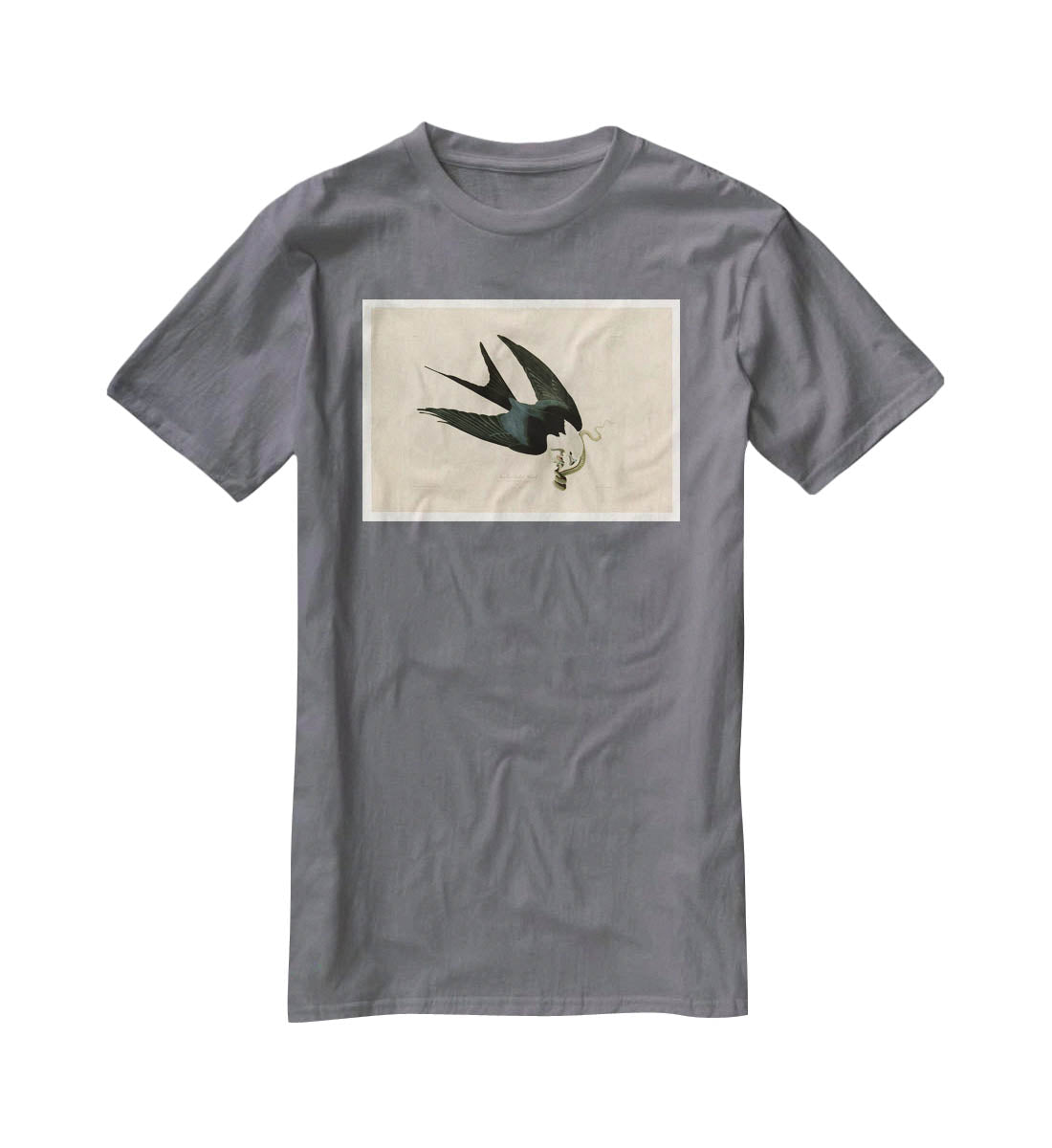 Swallow tailed Hawk by Audubon T-Shirt - Canvas Art Rocks - 3