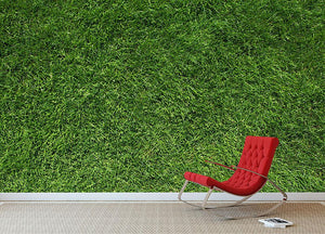 Texture of green grass Wall Mural Wallpaper - Canvas Art Rocks - 2