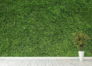 Texture of green grass Wall Mural Wallpaper - Canvas Art Rocks - 4