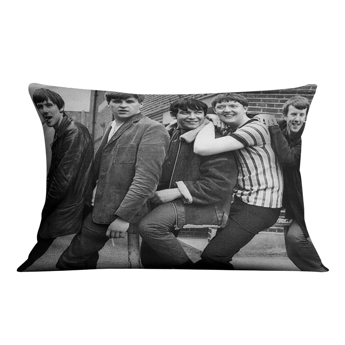 The Animals in Londn Cushion