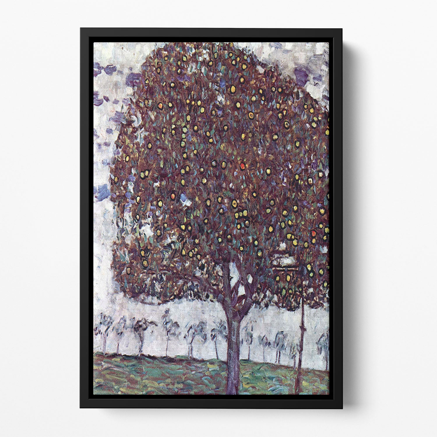 The Apple Tree by Klimt Floating Framed Canvas