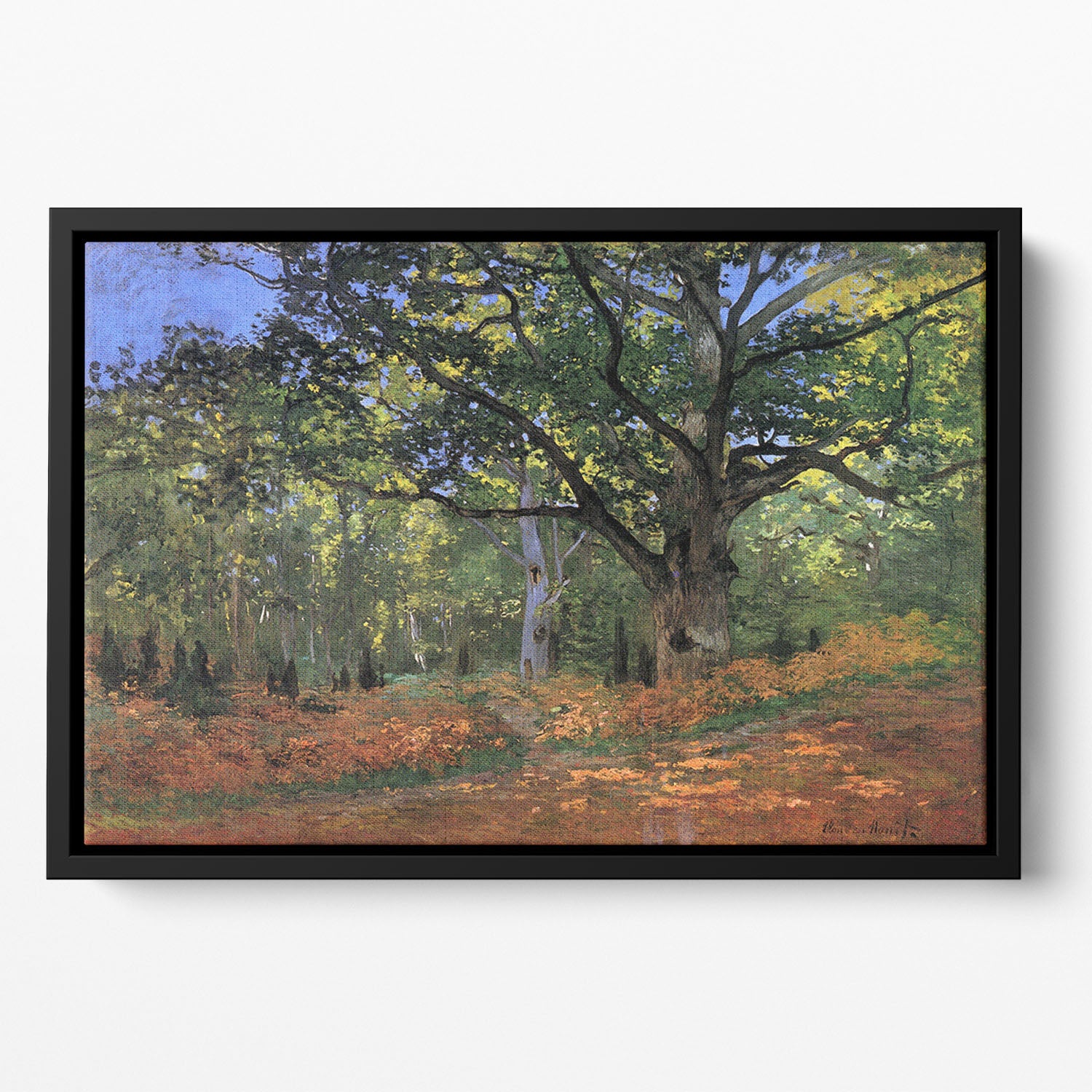 The Bodmer oak Fontainbleau forest by Monet Floating Framed Canvas