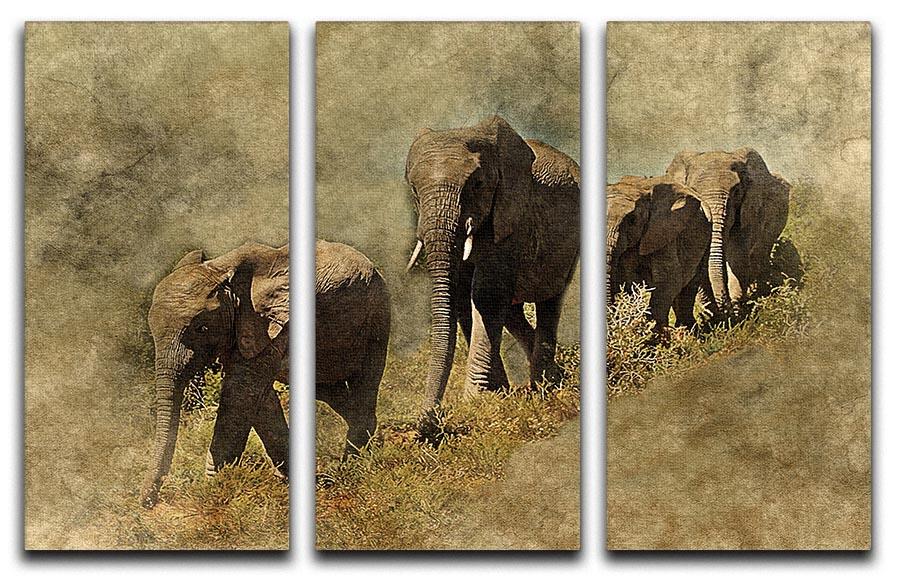 The Elephants March 3 Split Panel Canvas Print - Canvas Art Rocks - 1