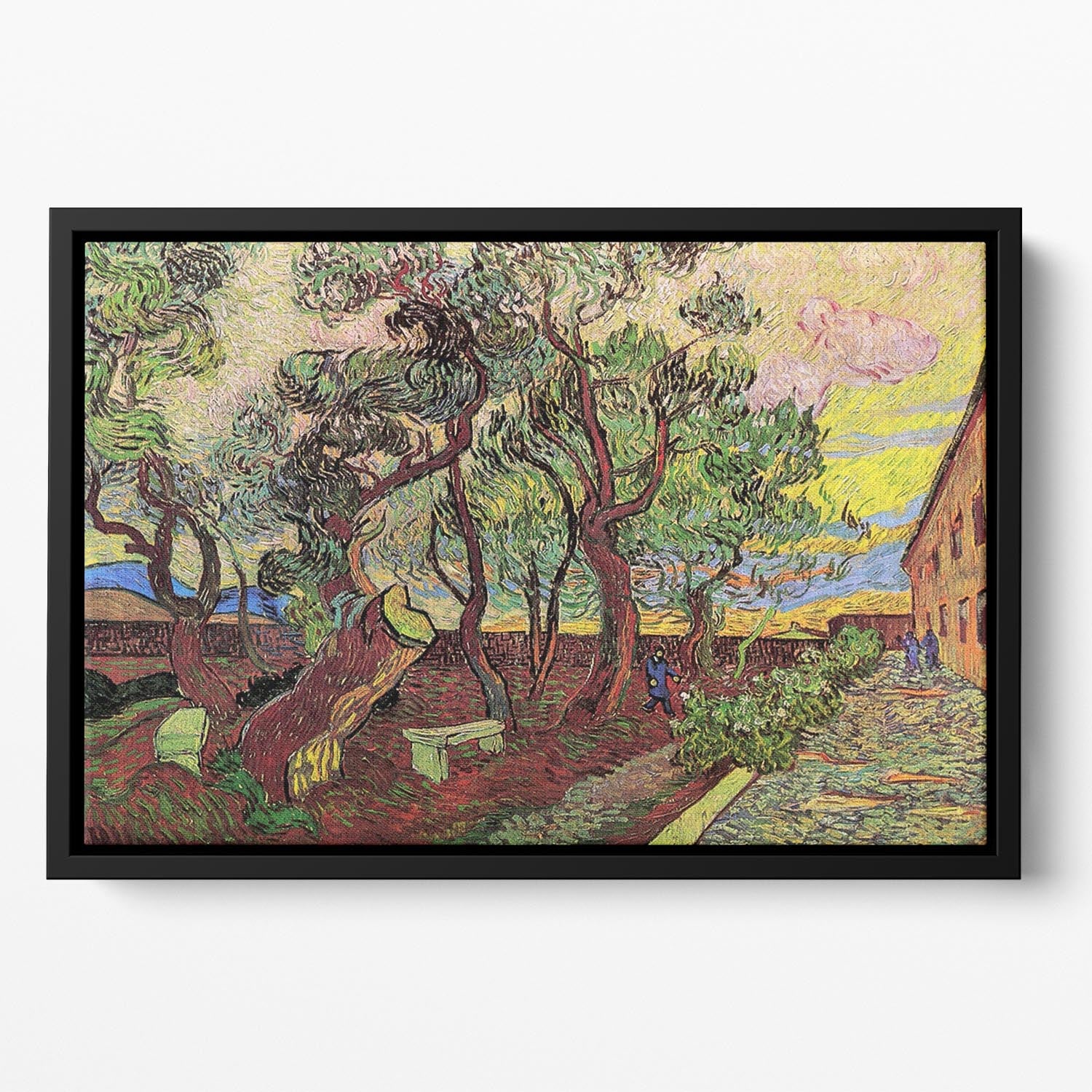 The Garden of Saint-Paul Hospital 3 by Van Gogh Floating Framed Canvas
