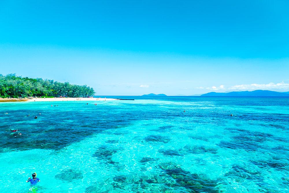 The Great Barrier Reef Wall Mural Wallpaper - Canvas Art Rocks - 1