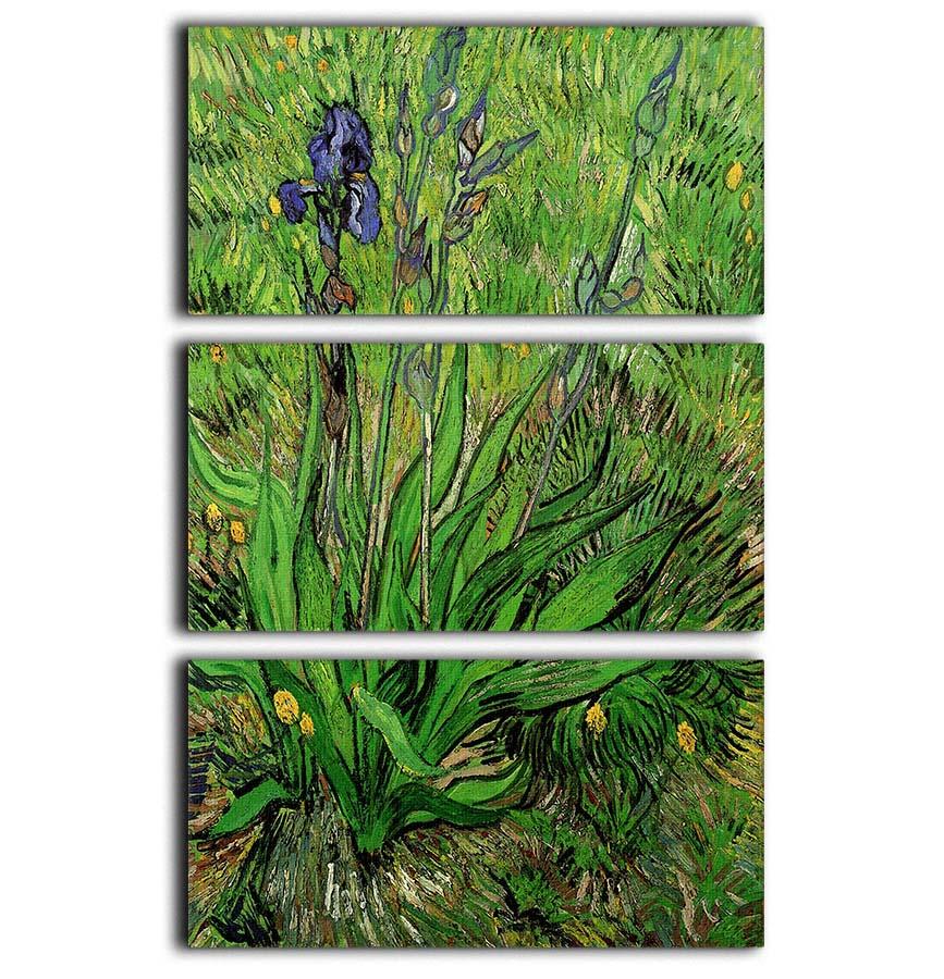 The Iris by Van Gogh 3 Split Panel Canvas Print - Canvas Art Rocks - 1