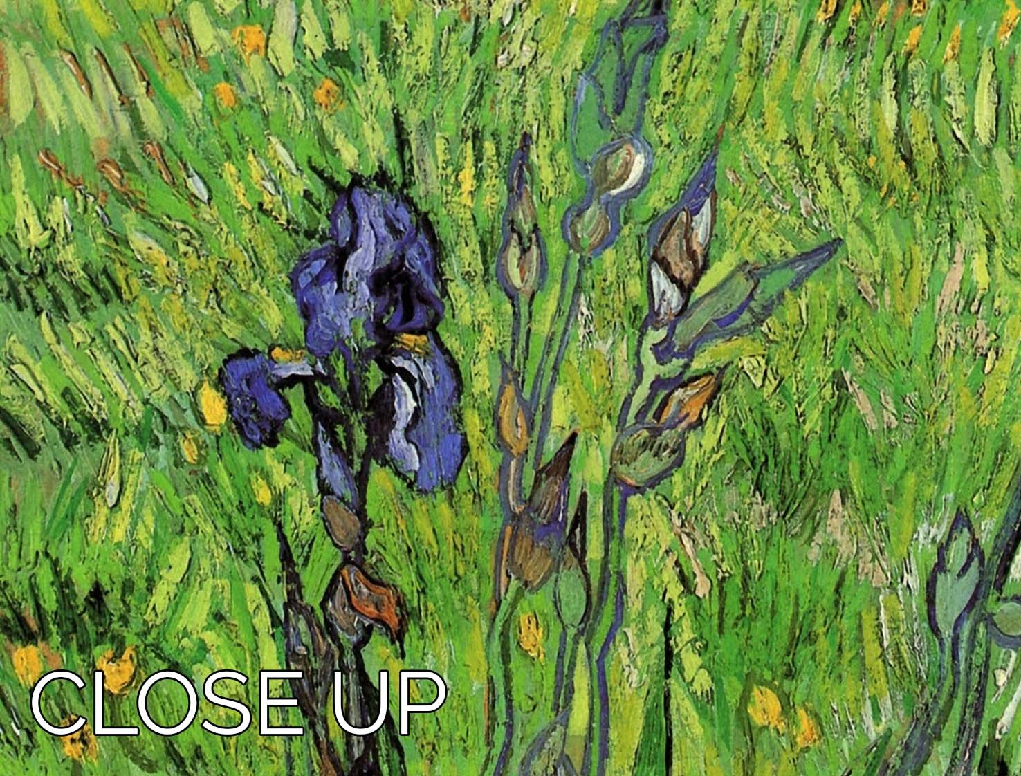 The Iris by Van Gogh 3 Split Panel Canvas Print - Canvas Art Rocks - 3