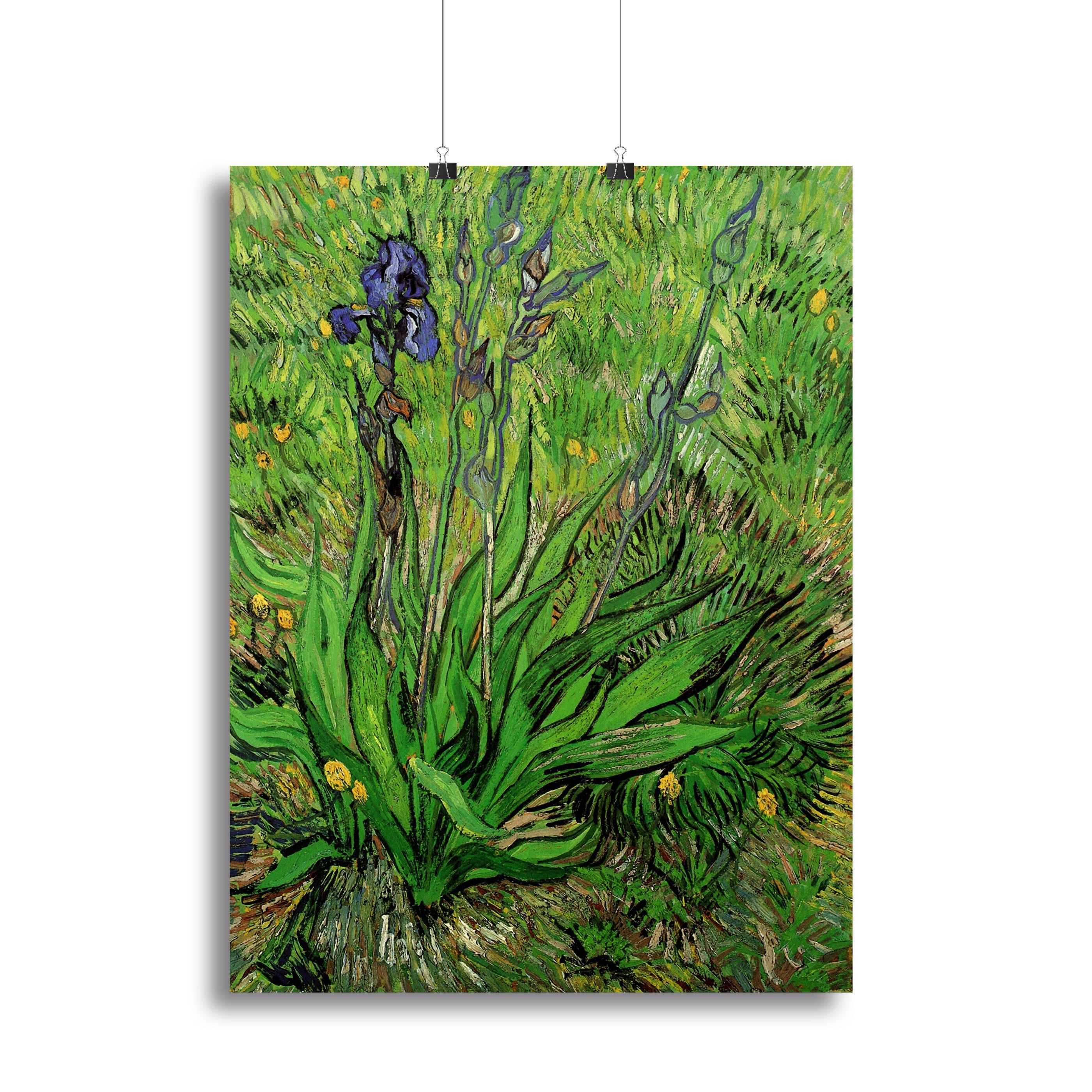 The Iris by Van Gogh Canvas Print or Poster - Canvas Art Rocks - 2