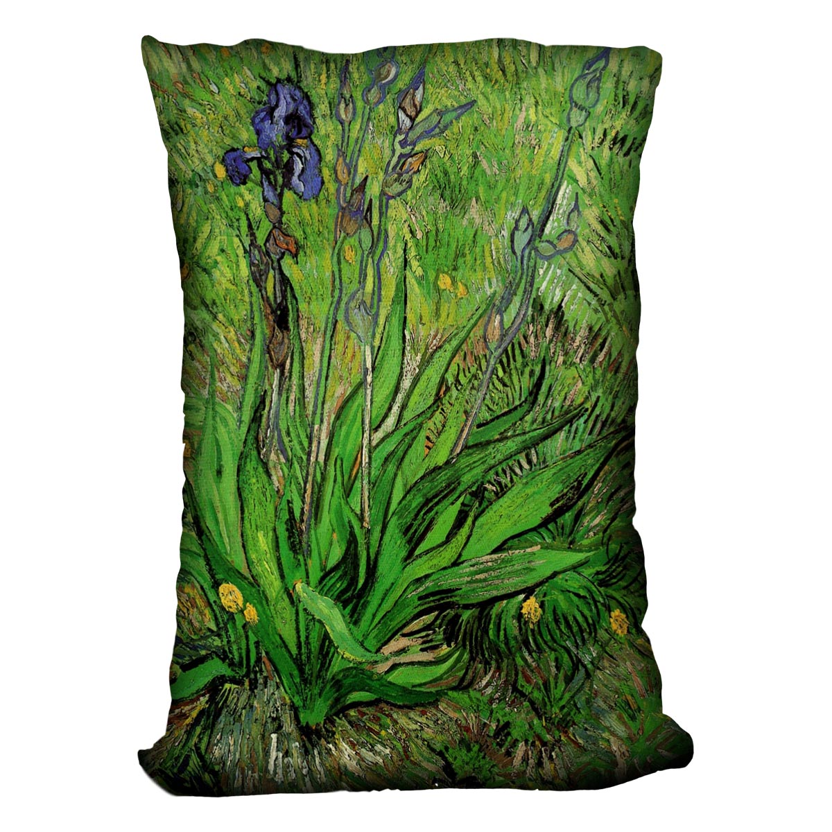 The Iris by Van Gogh Cushion