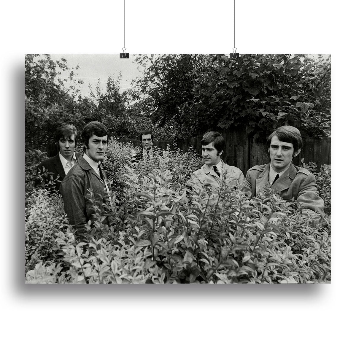 The Moody Blues in a field Canvas Print or Poster - Canvas Art Rocks - 2