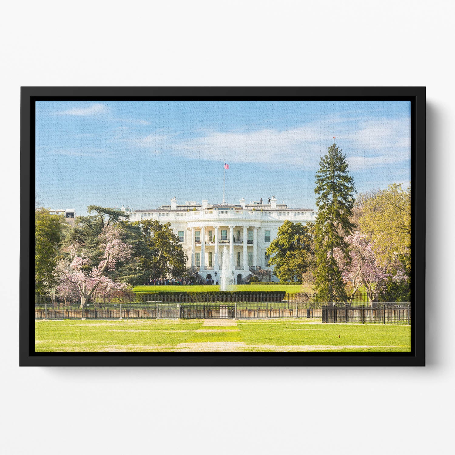 The White House Blossoms Floating Framed Canvas