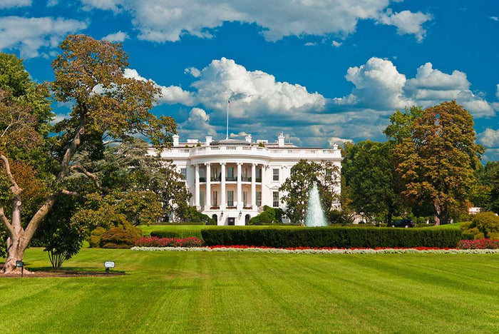 The White House the South Gate Wall Mural Wallpaper