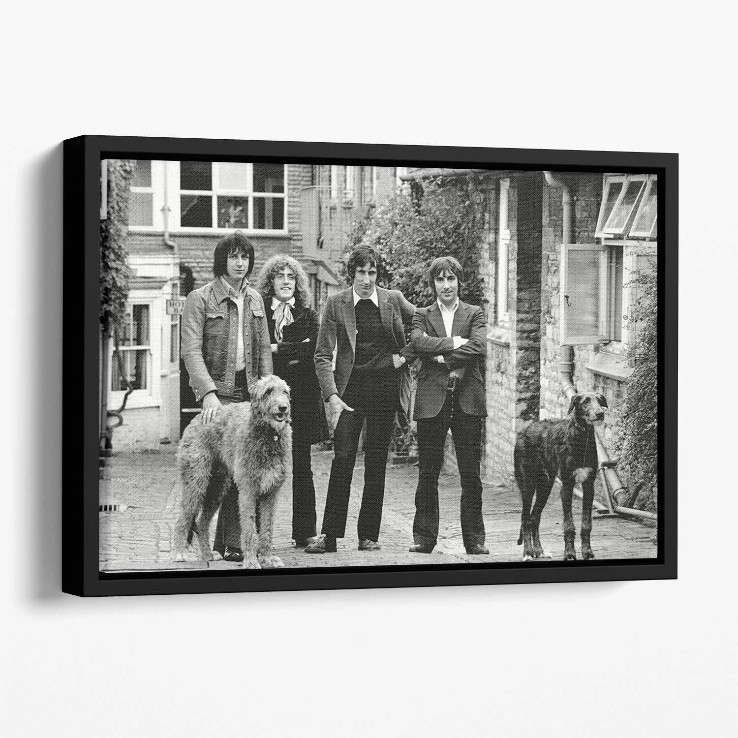 The Who with dogs Floating Framed Canvas