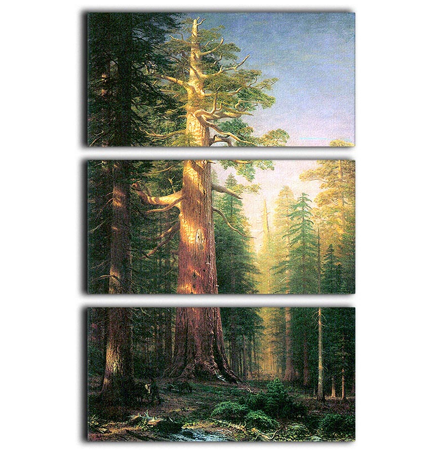 The big trees Mariposa Grove California by Bierstadt 3 Split Panel Canvas Print - Canvas Art Rocks - 1