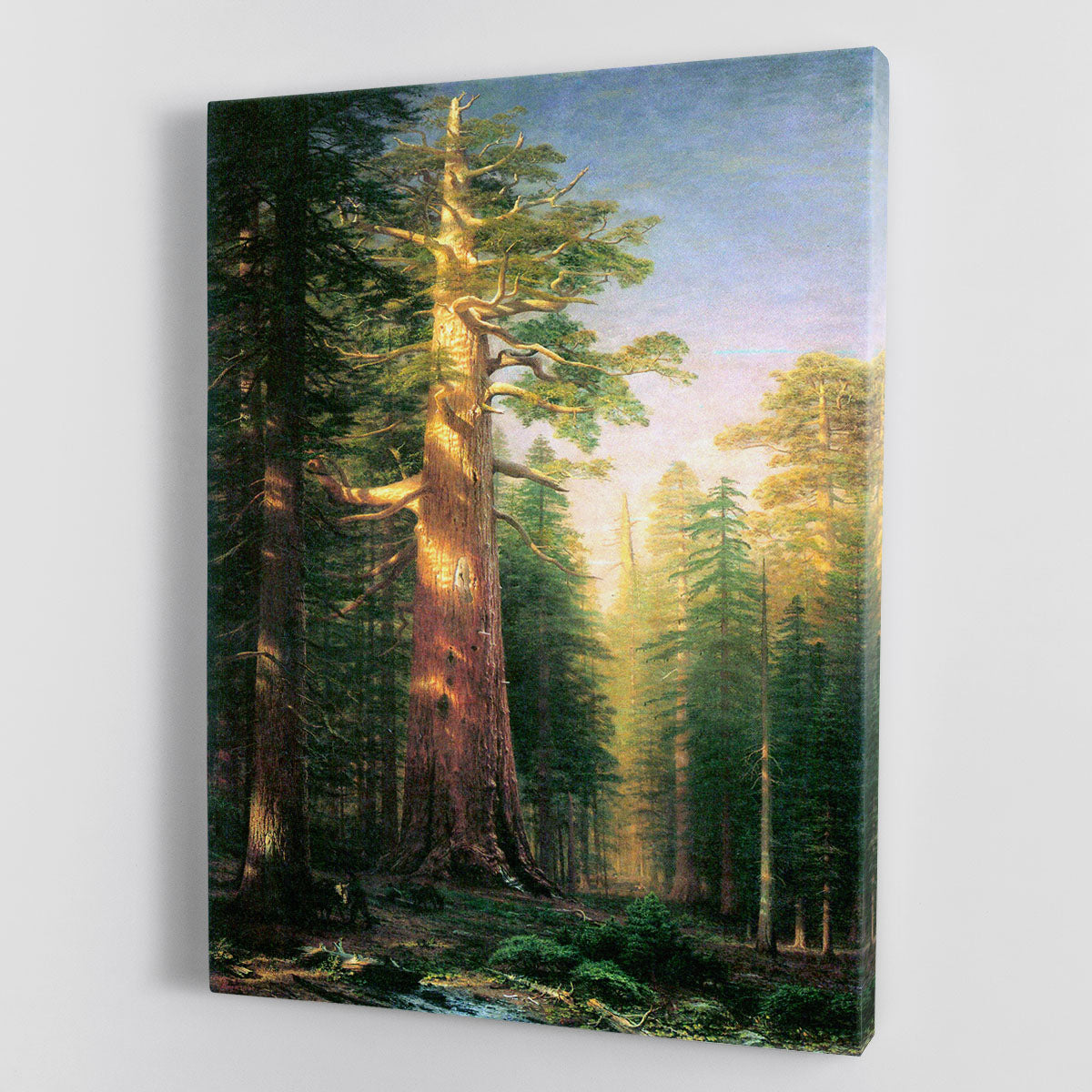 The big trees Mariposa Grove California by Bierstadt Canvas Print or Poster - Canvas Art Rocks - 1