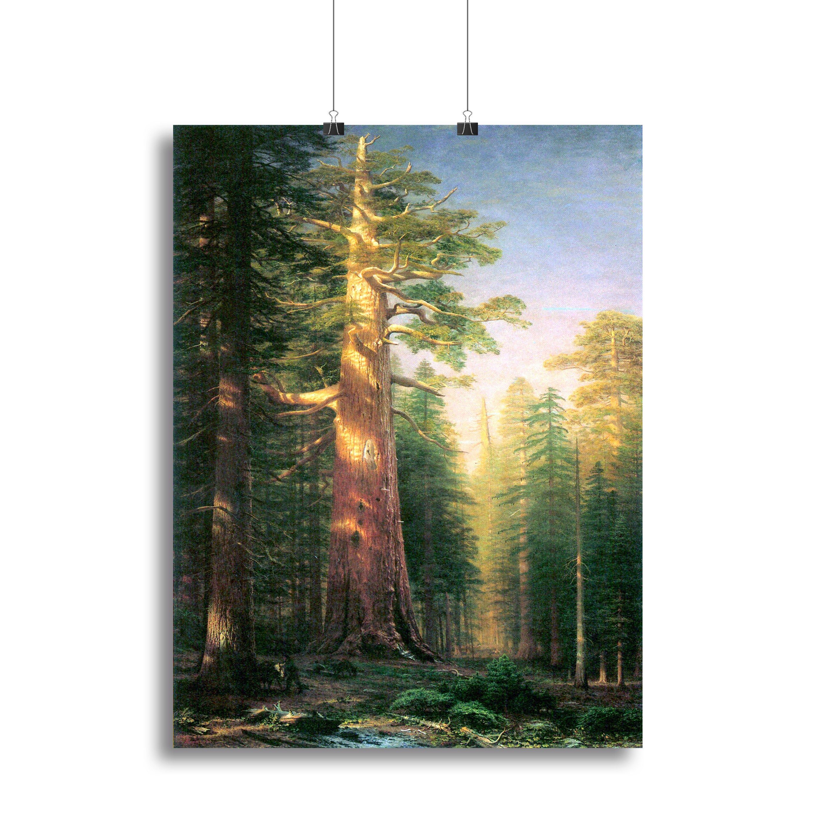 The big trees Mariposa Grove California by Bierstadt Canvas Print or Poster - Canvas Art Rocks - 2