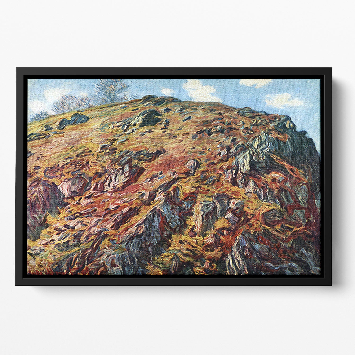 The boulder by Monet Floating Framed Canvas
