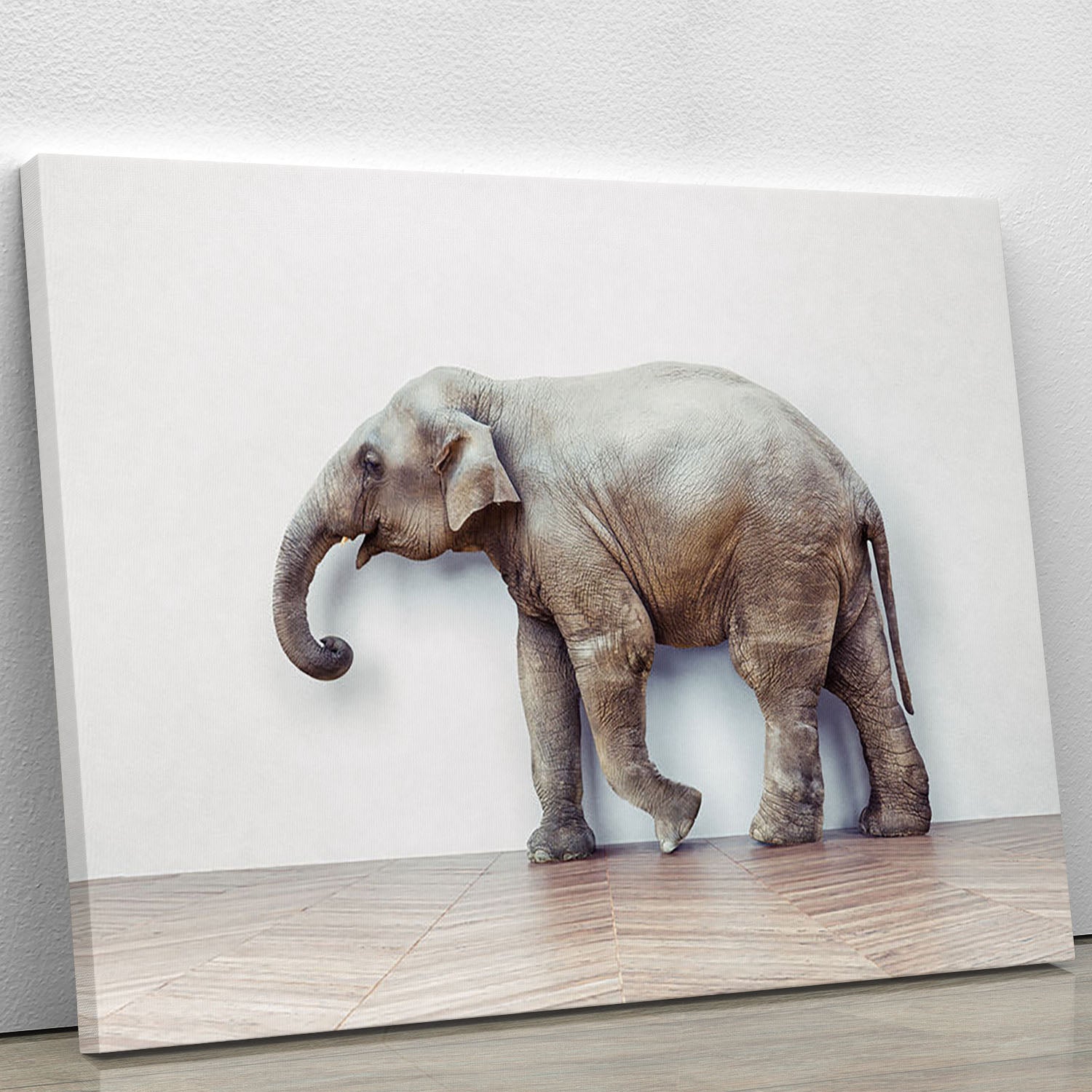 The elephant calm in the room near white wall Canvas Print or Poster - Canvas Art Rocks - 1