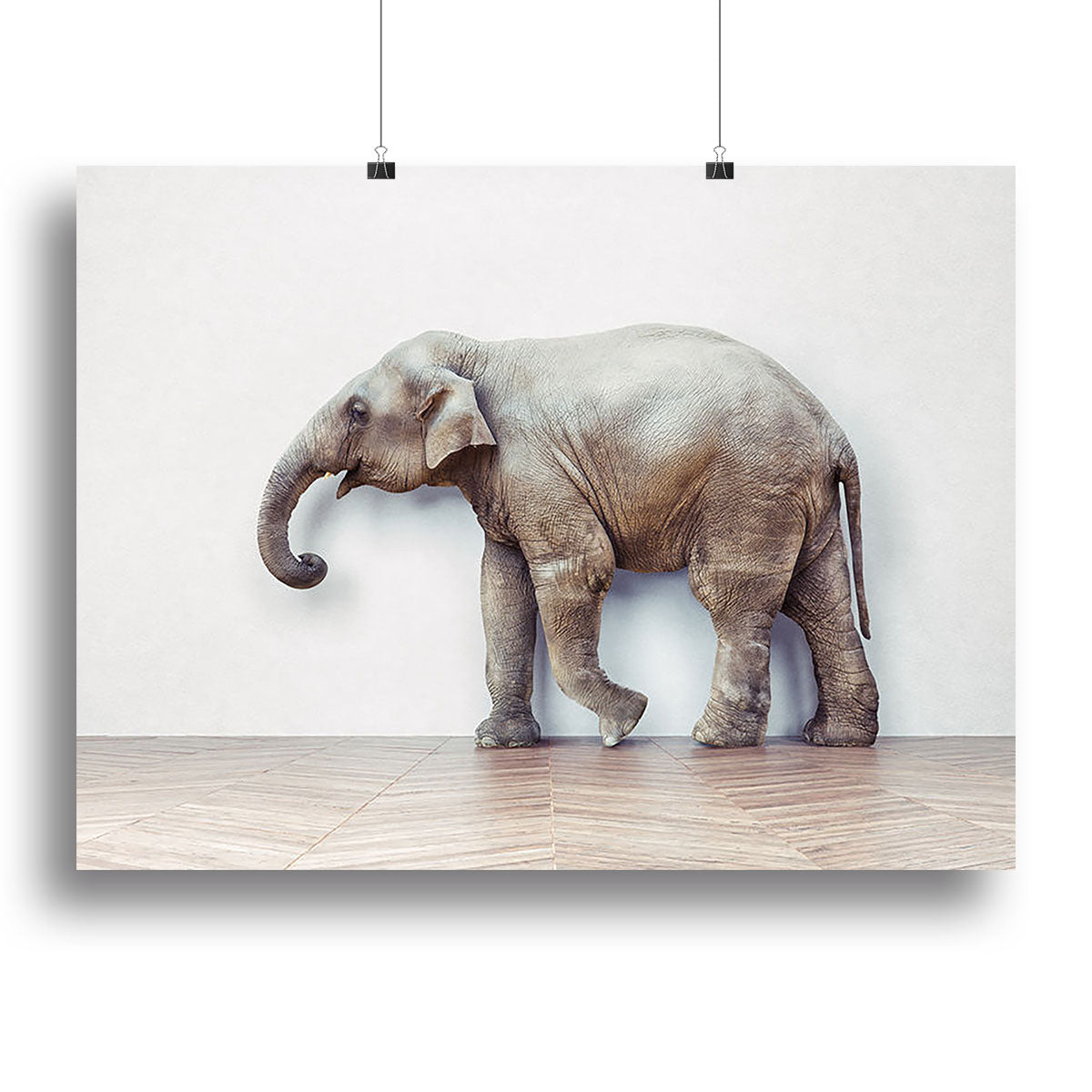 The elephant calm in the room near white wall Canvas Print or Poster - Canvas Art Rocks - 2