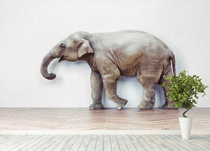 The elephant calm in the room near white wall Wall Mural Wallpaper - Canvas Art Rocks - 4