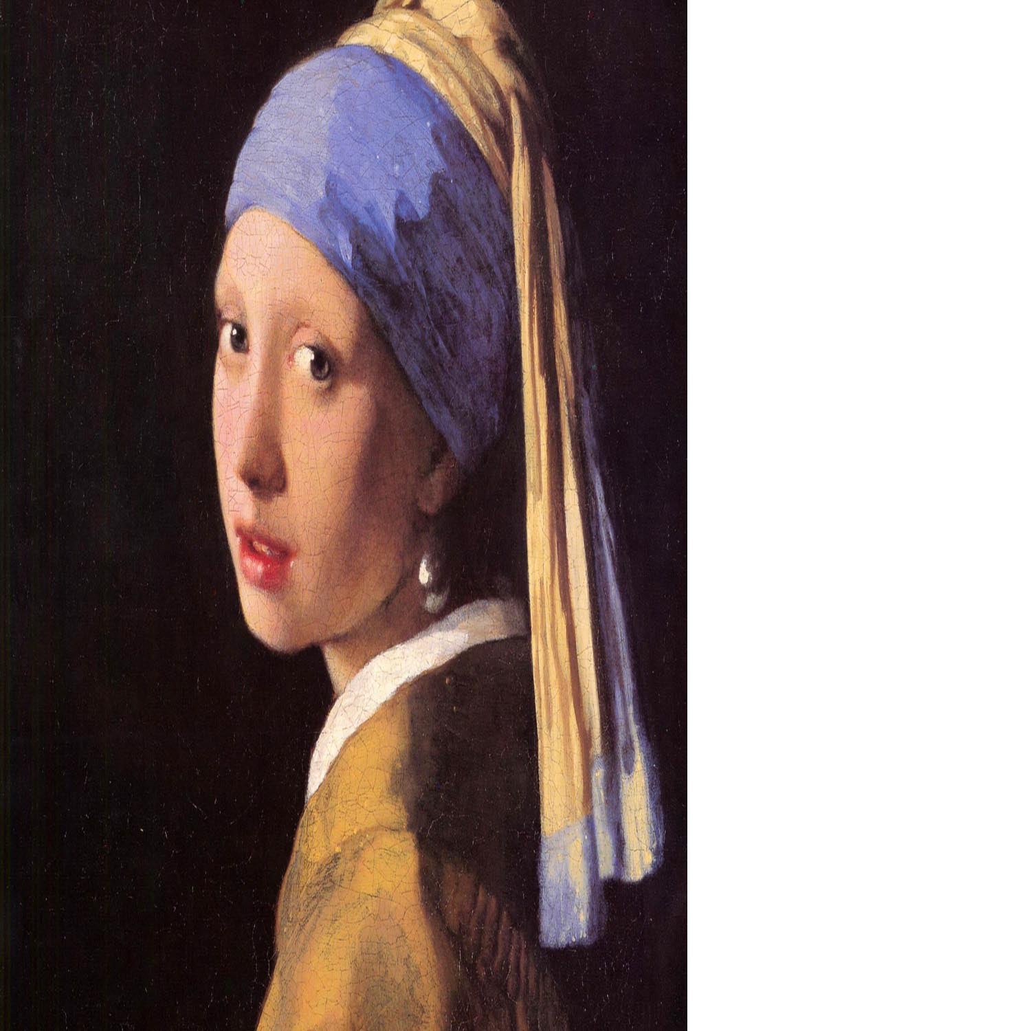 The girl with the pearl earring by Vermeer Floating Framed Canvas