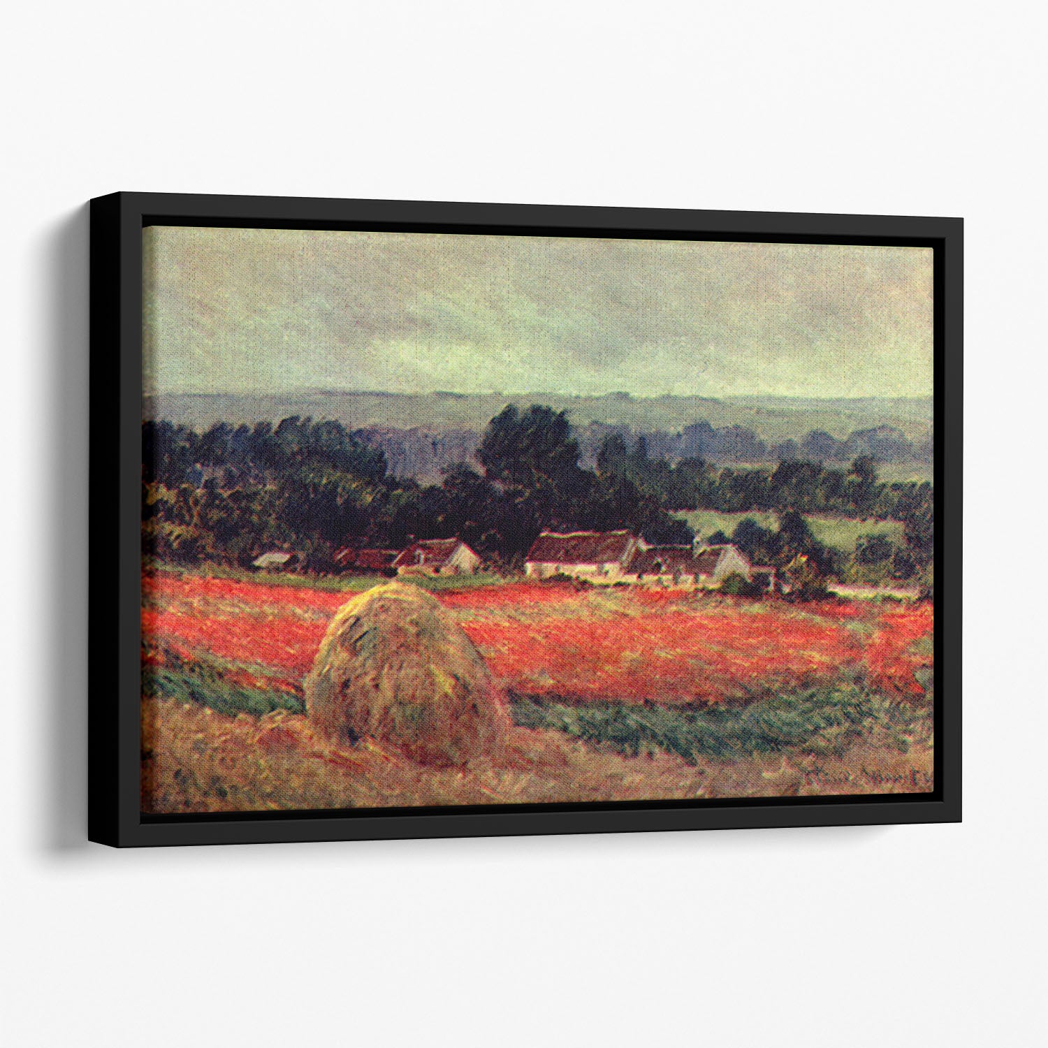 The poppy Blumenfeld The barn by Monet Floating Framed Canvas