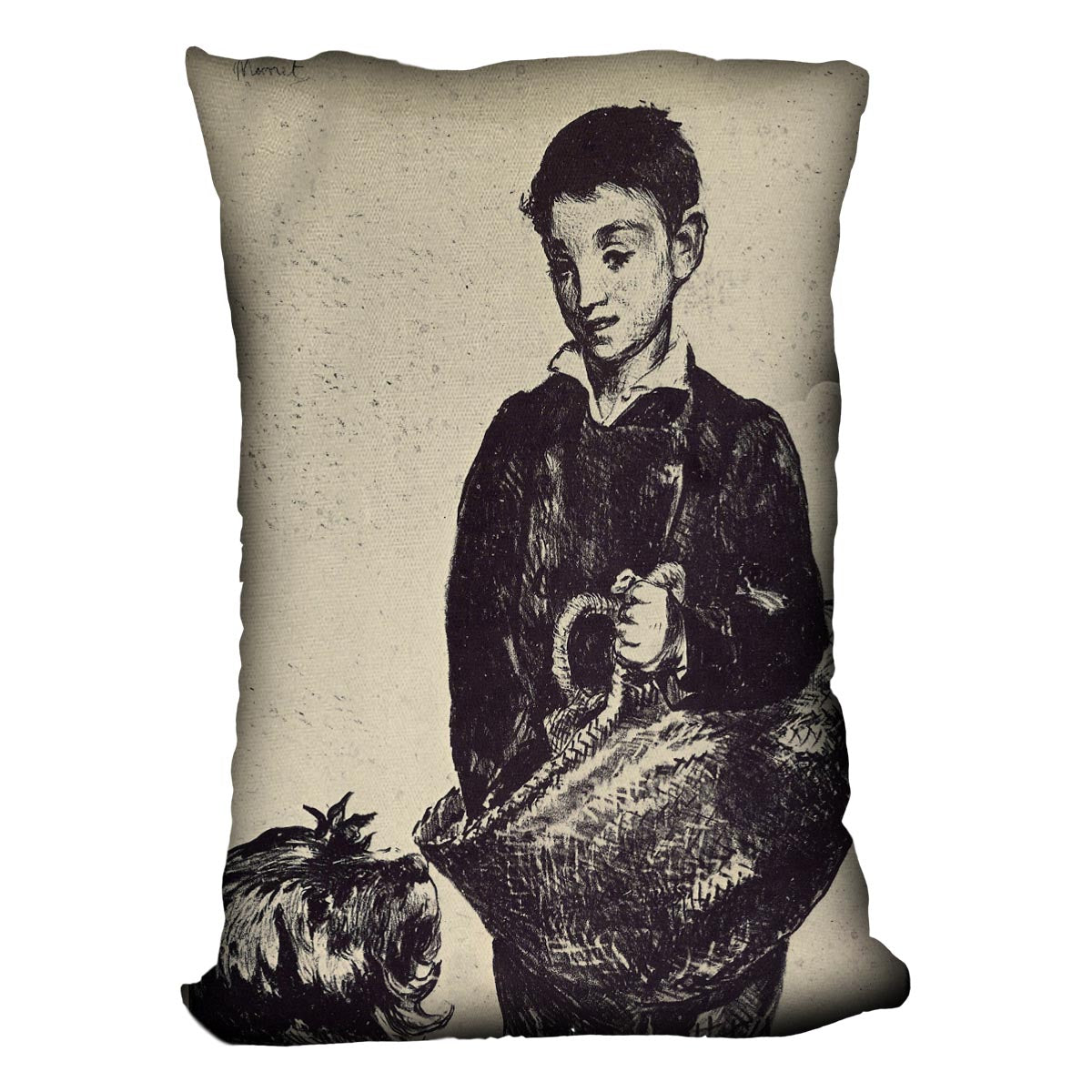The urchin by Manet Cushion