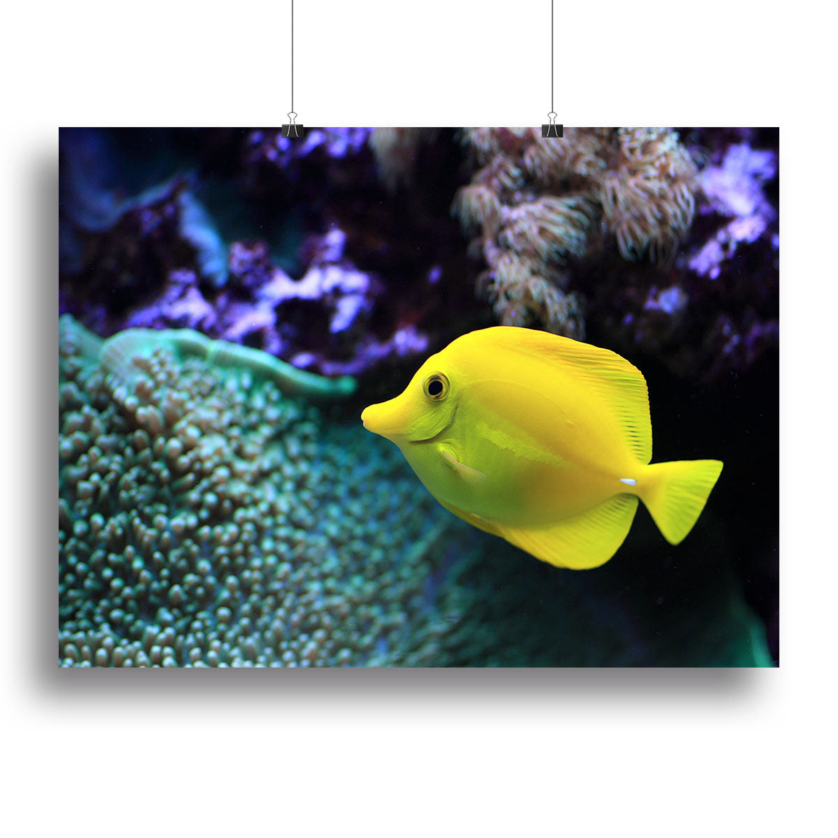 The yellow fish Canvas Print or Poster - Canvas Art Rocks - 2