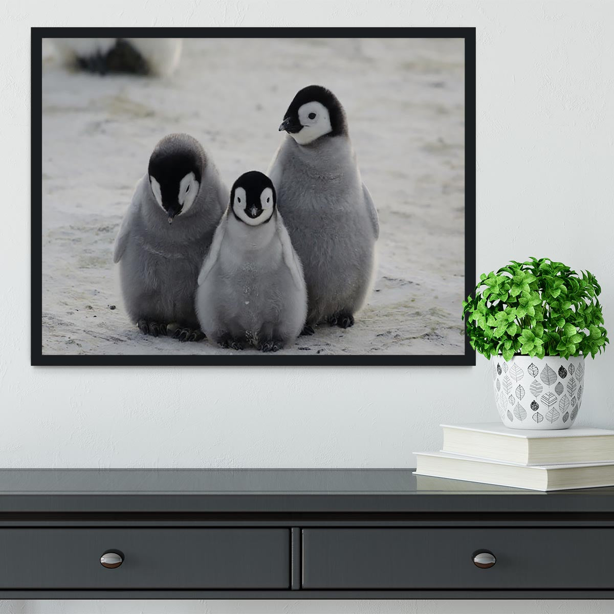 Three Emperor Penguin Chicks Together Framed Print - Canvas Art Rocks - 2
