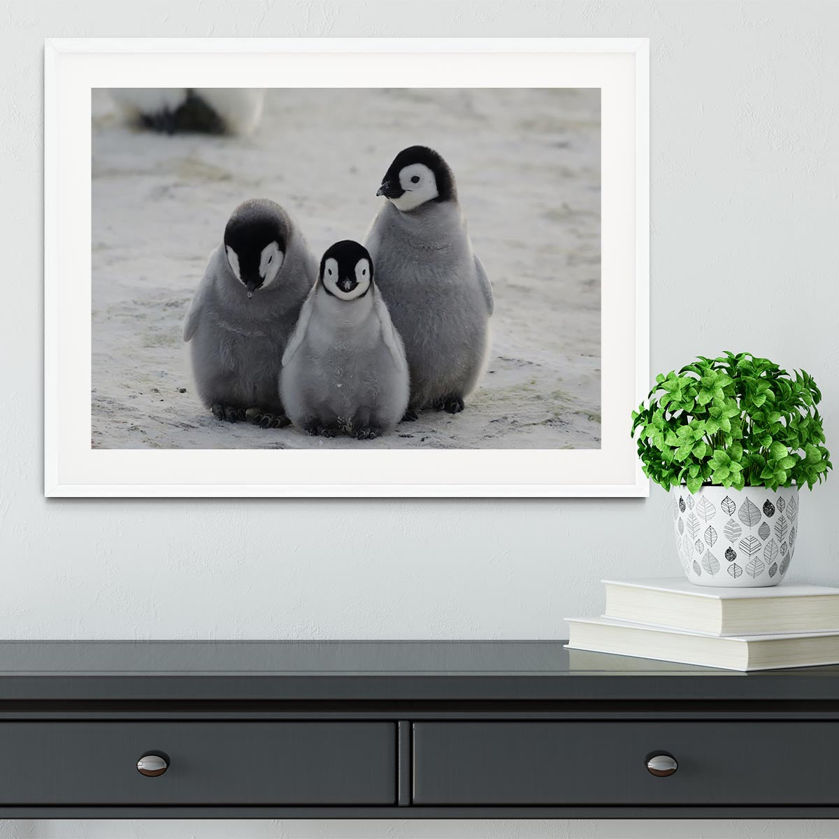 Three Emperor Penguin Chicks Together Framed Print - Canvas Art Rocks - 5