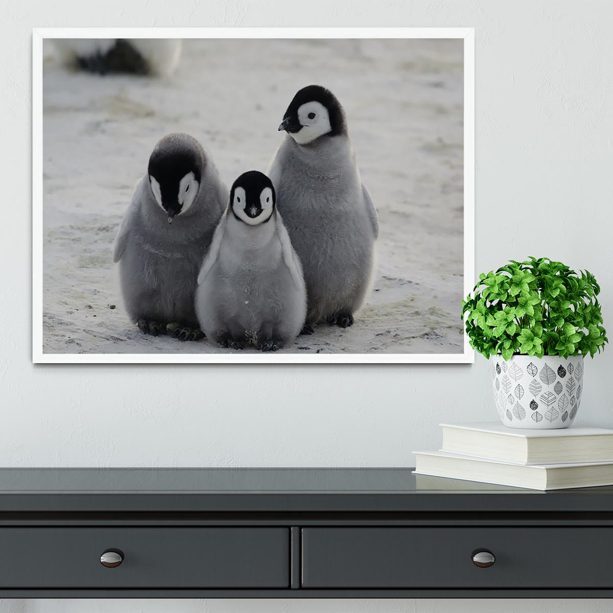 Three Emperor Penguin Chicks Together Framed Print - Canvas Art Rocks -6