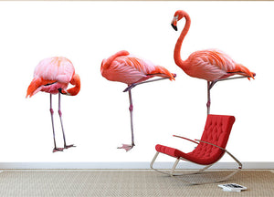 Three flamingo birds isolated on white background Wall Mural Wallpaper - Canvas Art Rocks - 2