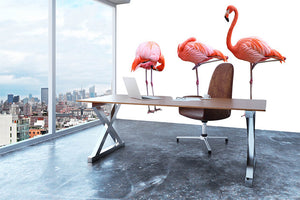 Three flamingo birds isolated on white background Wall Mural Wallpaper - Canvas Art Rocks - 3