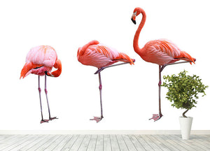 Three flamingo birds isolated on white background Wall Mural Wallpaper - Canvas Art Rocks - 4