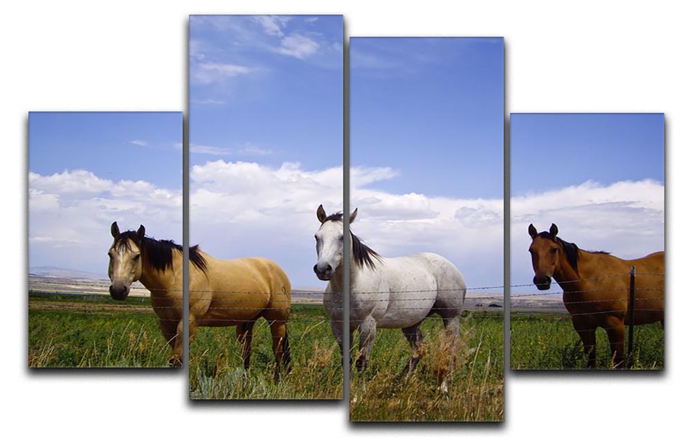Three horses of a different color 4 Split Panel Canvas - Canvas Art Rocks - 1