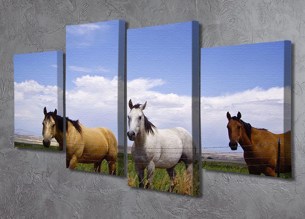 Three horses of a different color 4 Split Panel Canvas - Canvas Art Rocks - 2