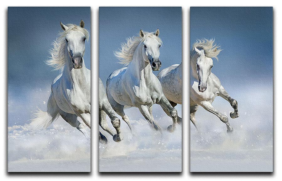 Three white horse run gallop in snow 3 Split Panel Canvas Print - Canvas Art Rocks - 1