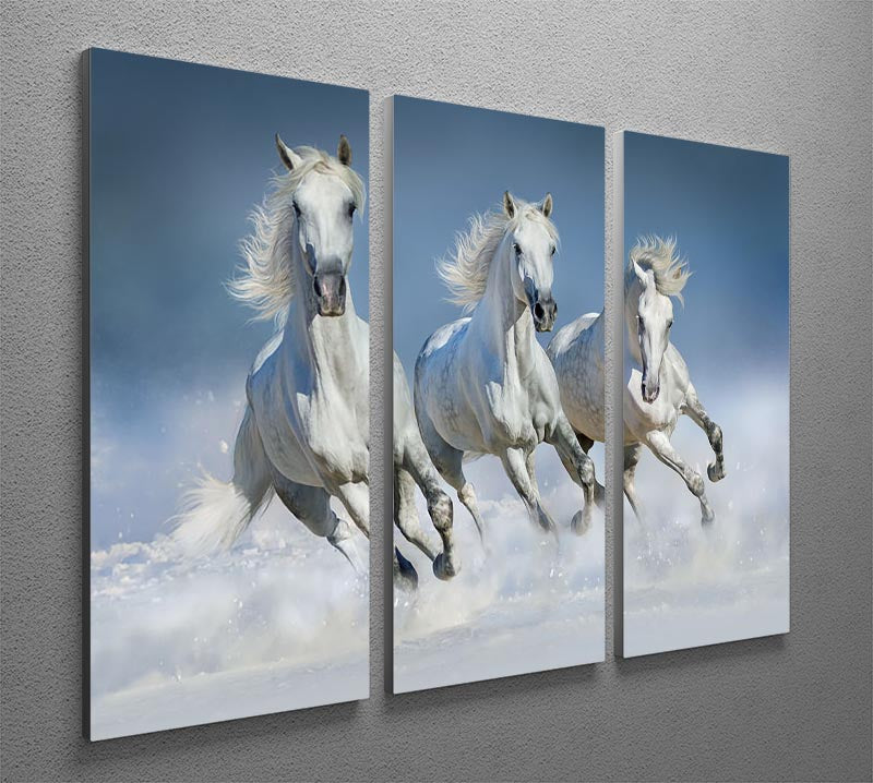 Three white horse run gallop in snow 3 Split Panel Canvas Print - Canvas Art Rocks - 2