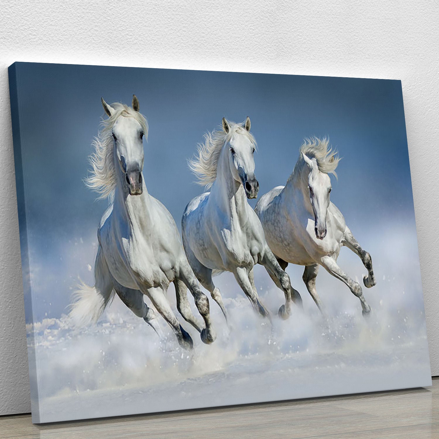 Three white horse run gallop in snow Canvas Print or Poster - Canvas Art Rocks - 1