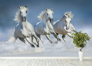 Three white horse run gallop in snow Wall Mural Wallpaper - Canvas Art Rocks - 4